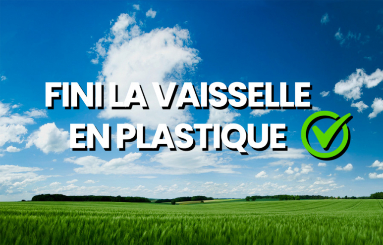 vaisselle carton