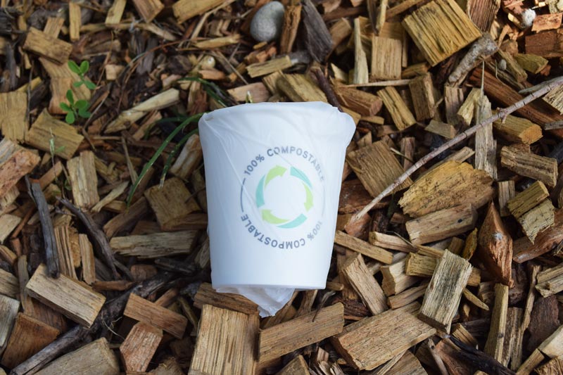 gobelets compostables