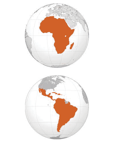 globe terrestre