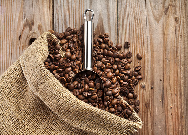 variété de café arabica et robusta