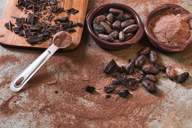fêve de cacao