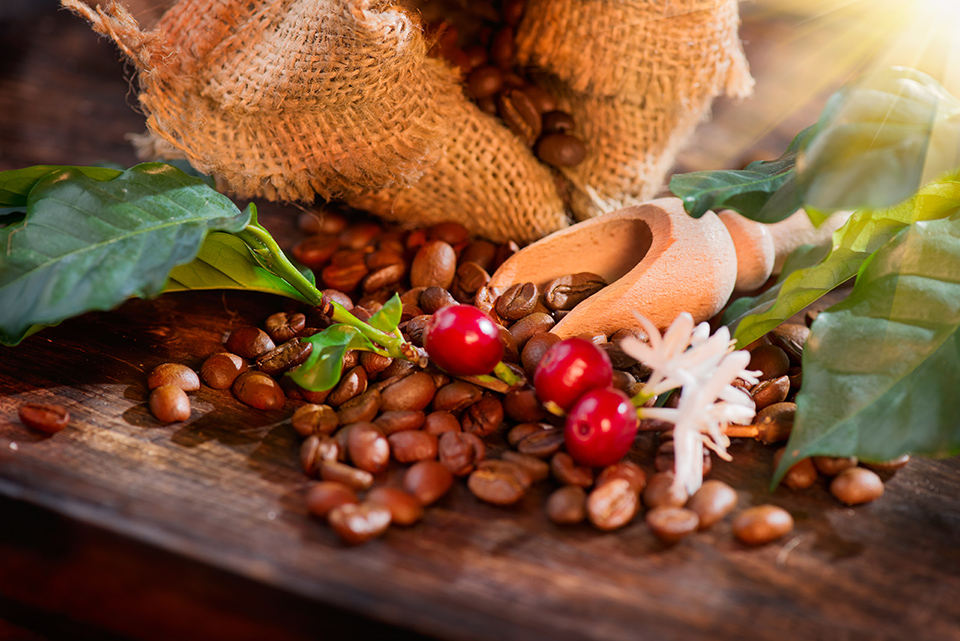 café en grain lugat arabica