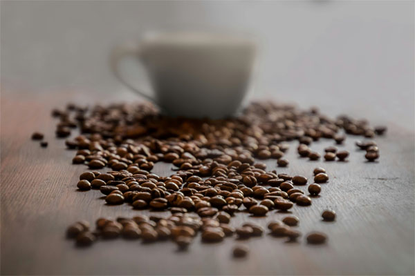 café en grains pour professionnels