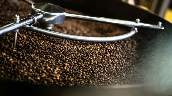 torréfaction de café en grains