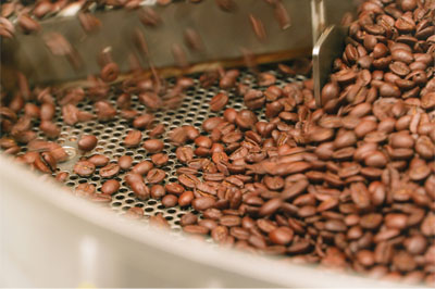 torréfaction café grain lugat oasis blend