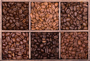 torréfaction café en grains