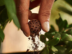 boule de café compostable coffeeb
