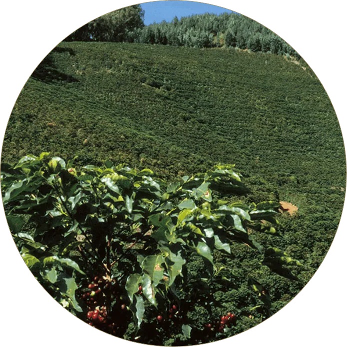 marque engagée