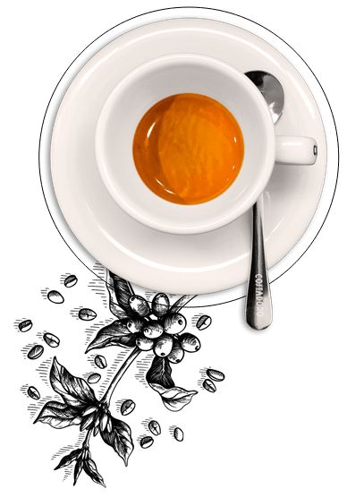 tasse café