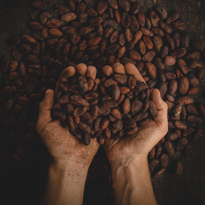 grains de café 