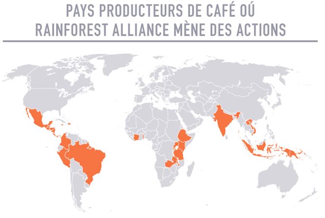 Les pays producteurs de marchandises Rainforest Alliance