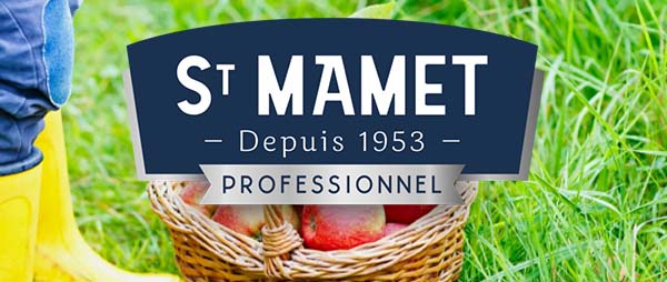 logo bonne maman