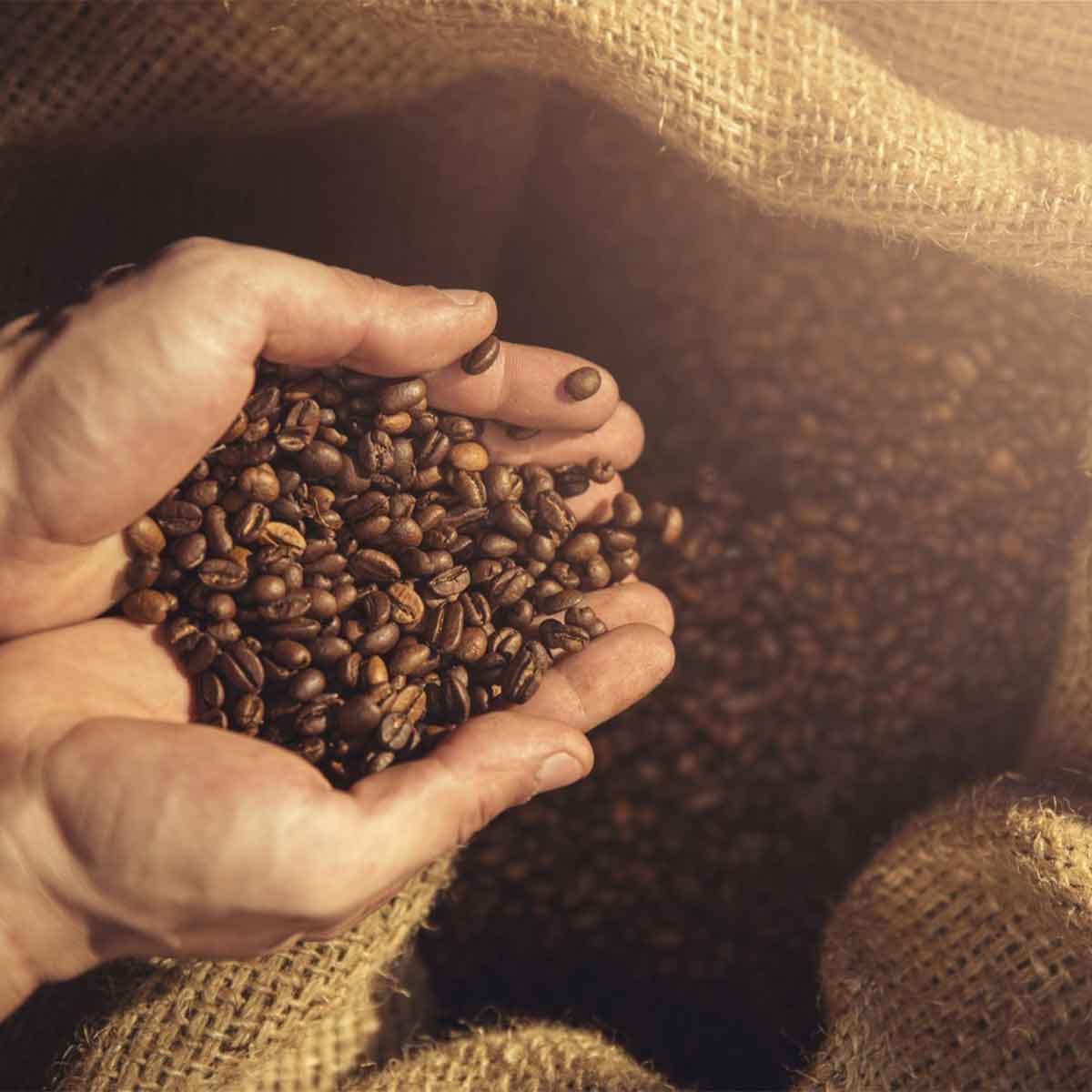grains café