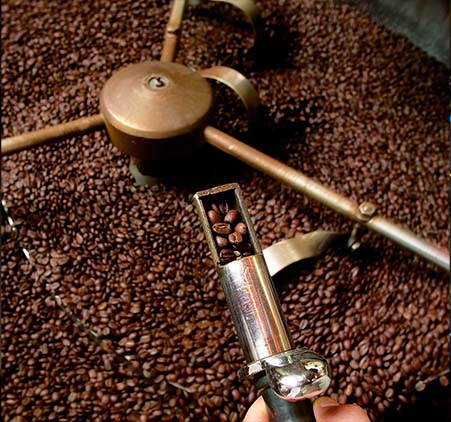 torréfaction grains café