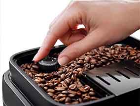 extraction café grains