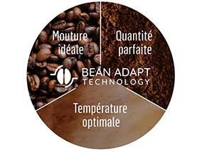 technologie bean adapt