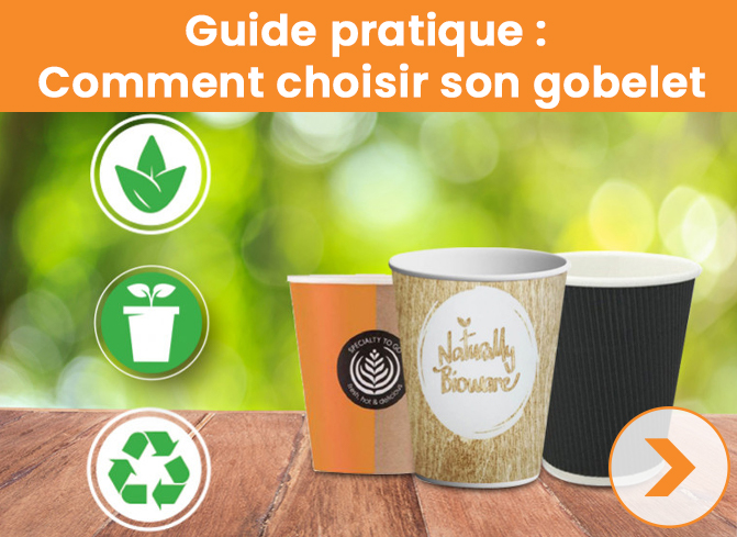 GUIDE PRATIQUE : COMMENT CHOISIR SON GOBELET