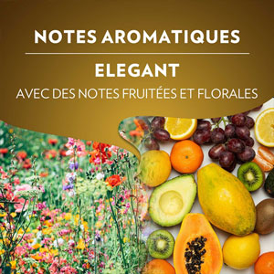 dosette café classique carte noire