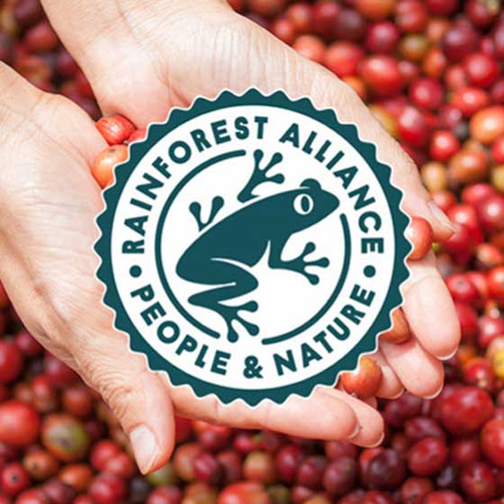 logo rainforest alliance