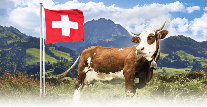 chocolat suisse