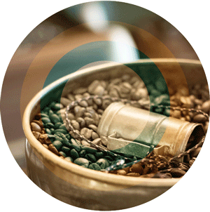 torréfaction café grains loutsa