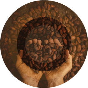 café en grains