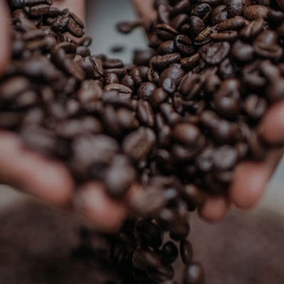 grains café