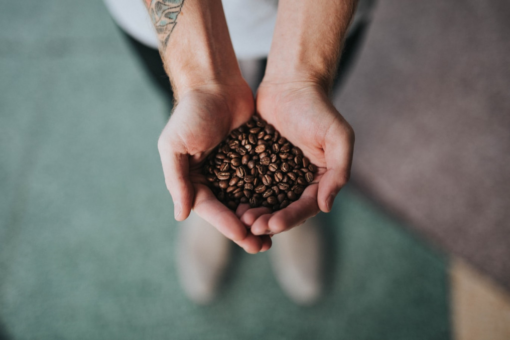 Les variétés de café : des espèces bien cachées !