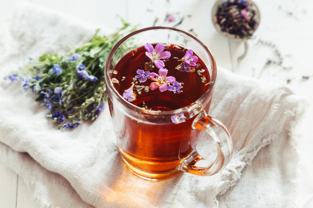 Quelles sont les différences entre thé et tisane ?