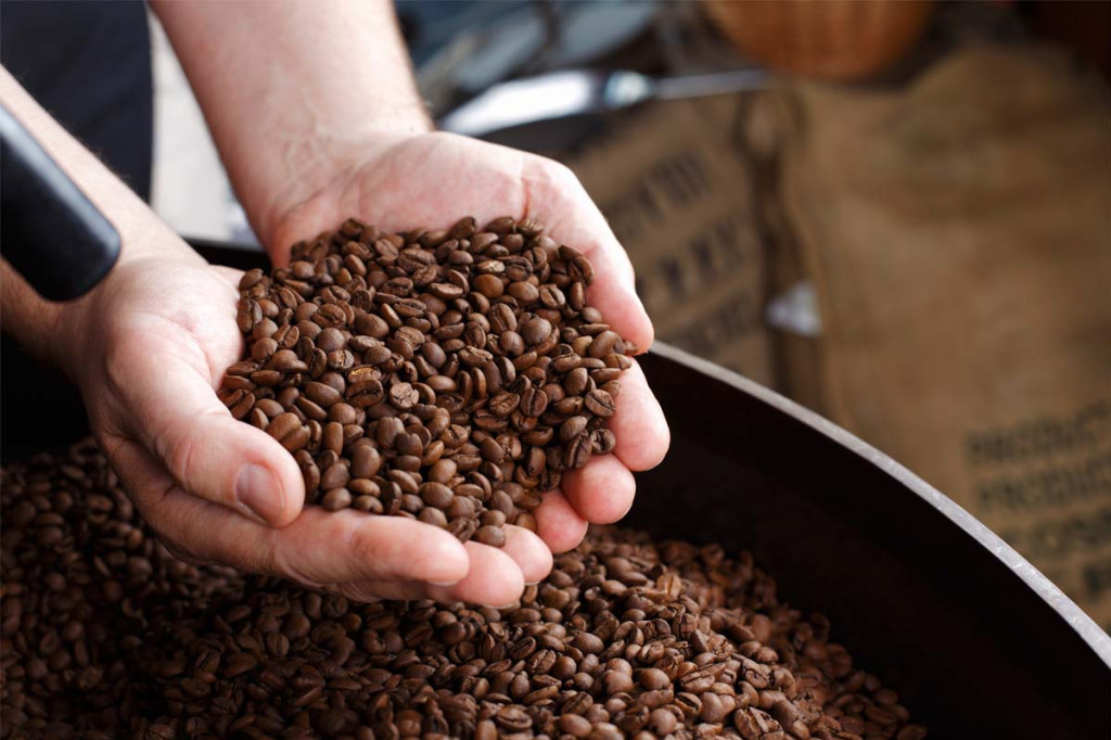 Qu’est-ce que le café robusta ? 