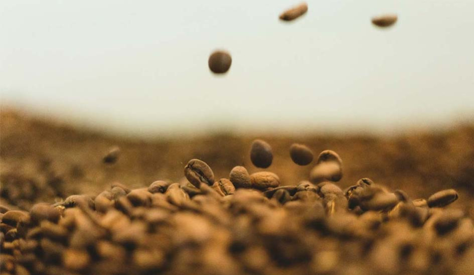 Achat de café en gros : guide pour les pros