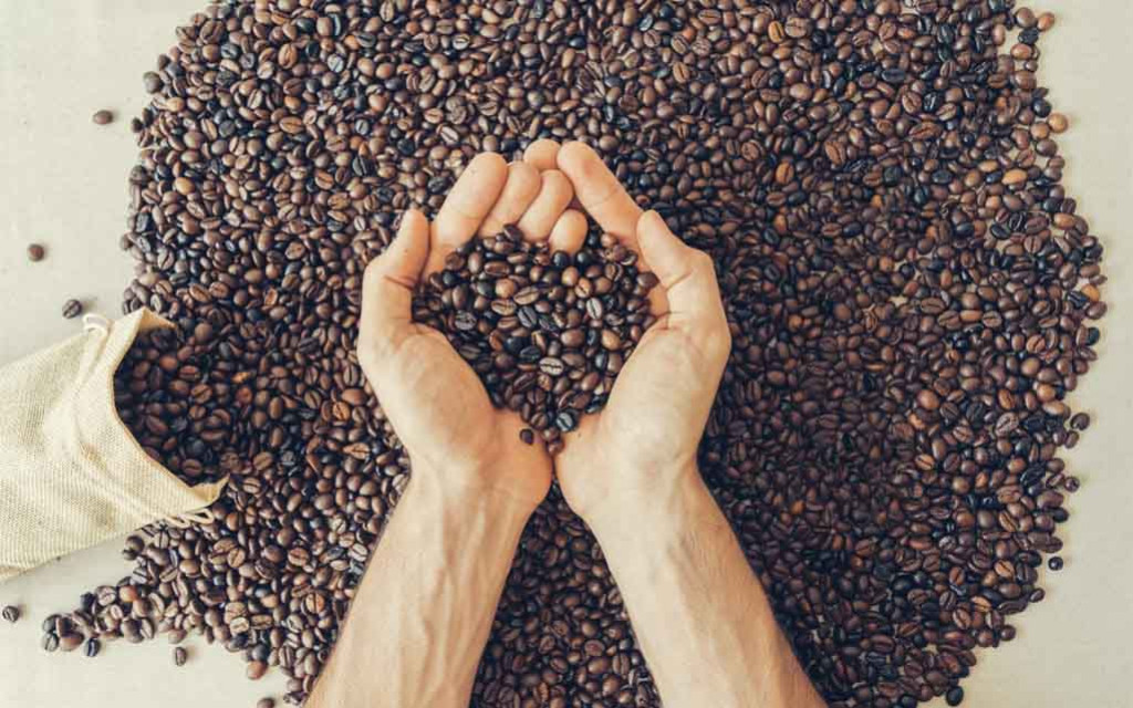 Quel est le meilleur café en grains ? Notre comparatif 2026