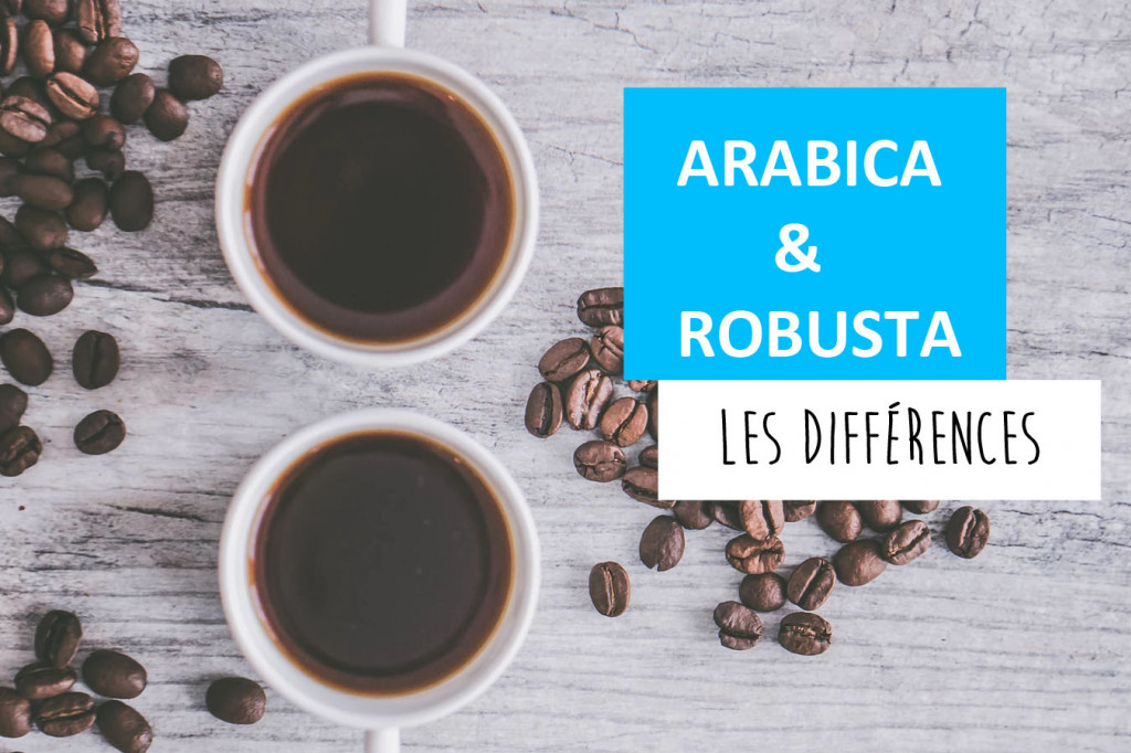 Arabica et Robusta : ces différences qui ne trompent pas