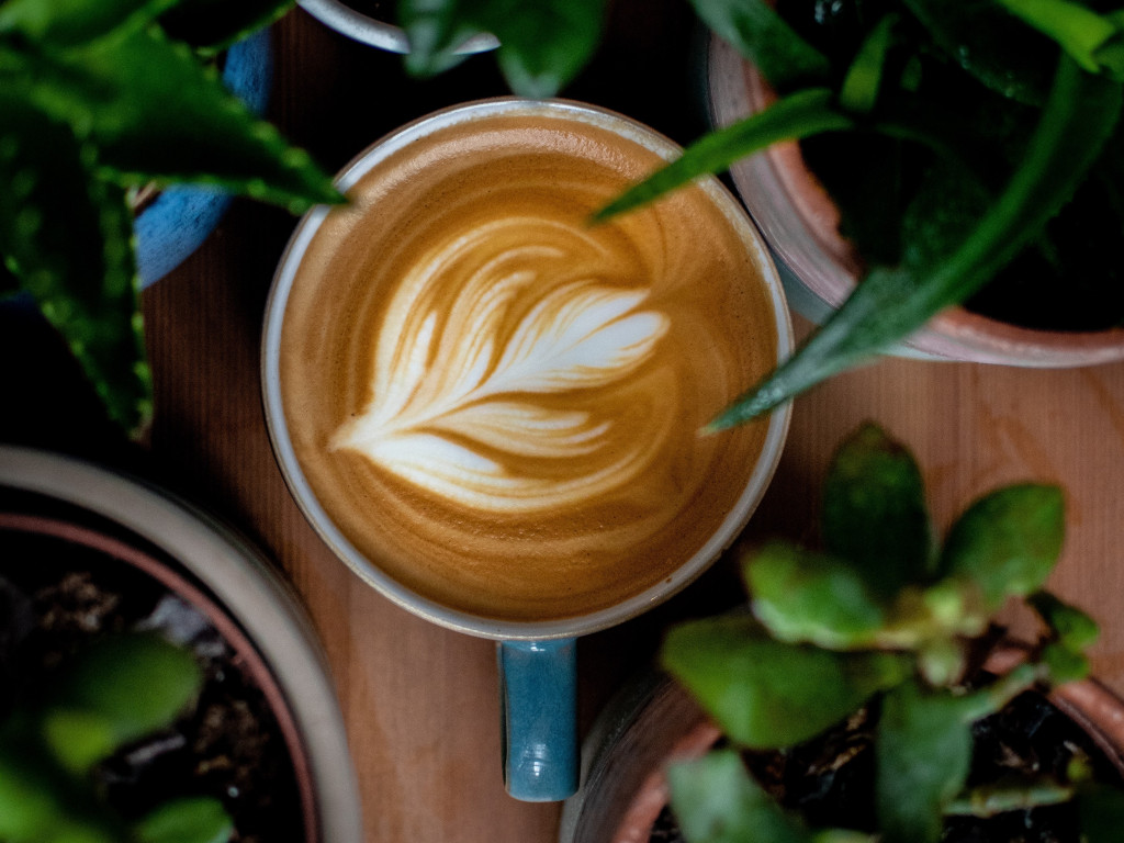 Bio et équitable : la pause-café devient plus responsable