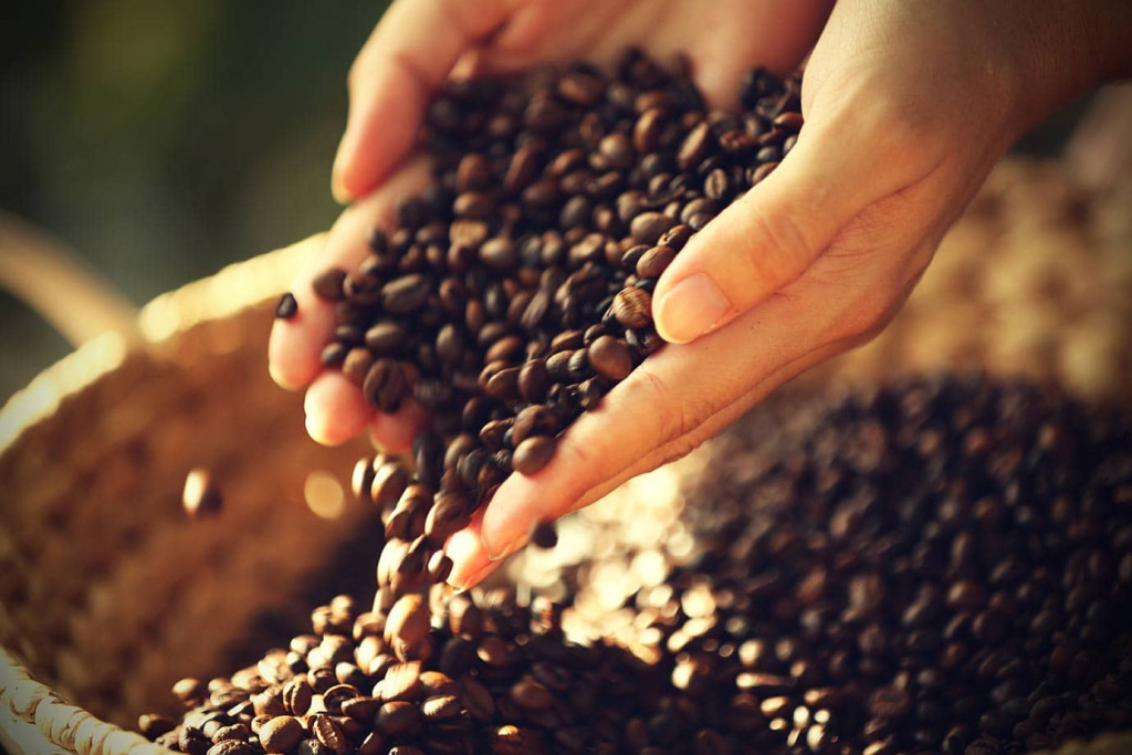 Les 8 meilleurs cafés en grains