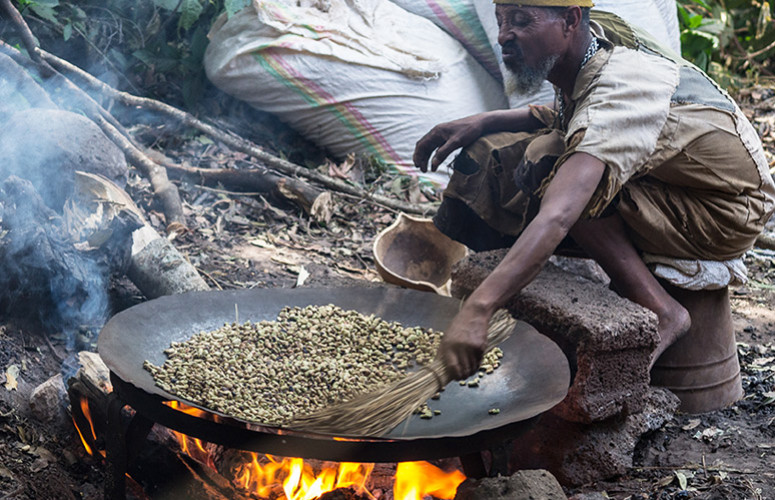 Quels sont les meilleurs cafés venus d'Éthiopie ?