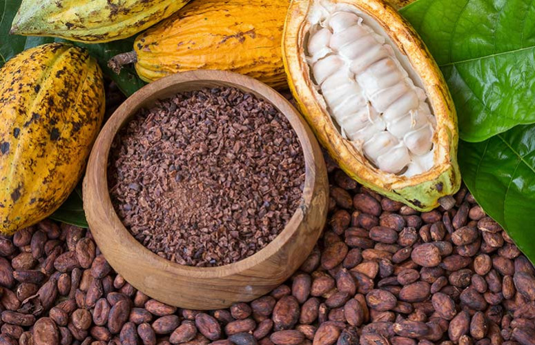 D'où vient le cacao et comment est-ce qu'il est transformé en chocolat ?