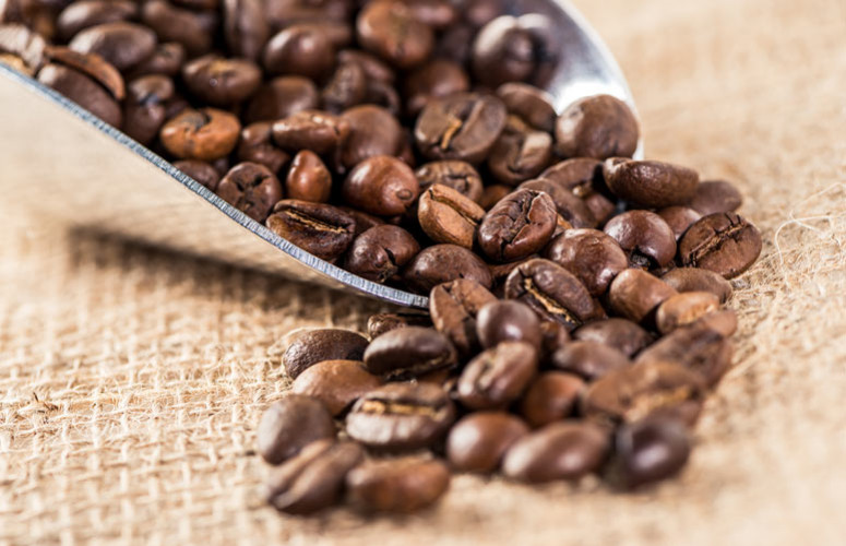 Qu’est-ce que le café de spécialité ? 