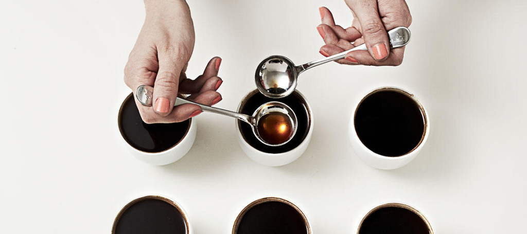 Le Coffee cupping à la maison : guide pratique
