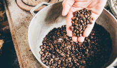 Arabica : 60% de la production mondiale de café