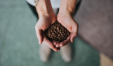 Les variétés de café : des espèces bien cachées !