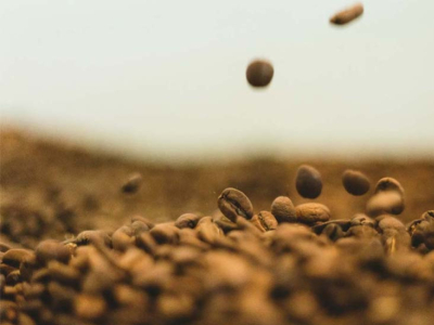 Achat de café en gros : guide pour les pros