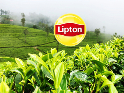 Lipton : une histoire de thé