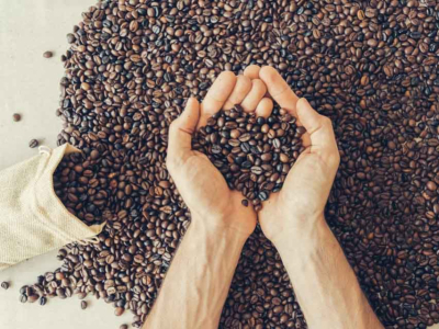 Quel est le meilleur café en grains ? Notre comparatif 2026
