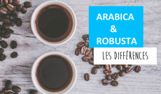 Arabica et Robusta : ces différences qui ne trompent pas