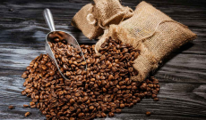 Guide des meilleurs cafés en grains Bio