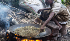 Quels sont les meilleurs cafés venus d'Éthiopie ?