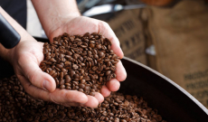 Les étapes de la torréfaction, et leur influence sur le goût du café