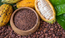 D'où vient le cacao et comment est-ce qu'il est transformé en chocolat ?