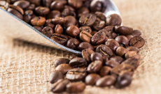 Qu’est-ce que le café de spécialité ? 